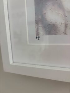 Gray Malin “Oahu Palm Shadows” — Signed Large Limited Edition #8 — COA Included — Pristine